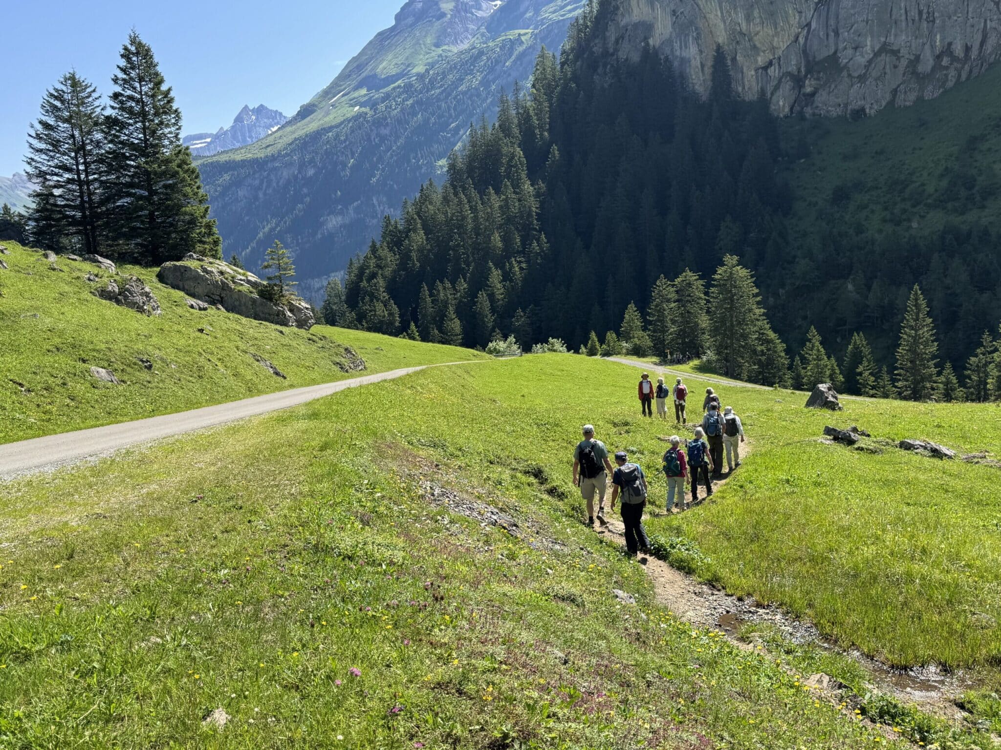 Graue Panther auf Abenteuertour