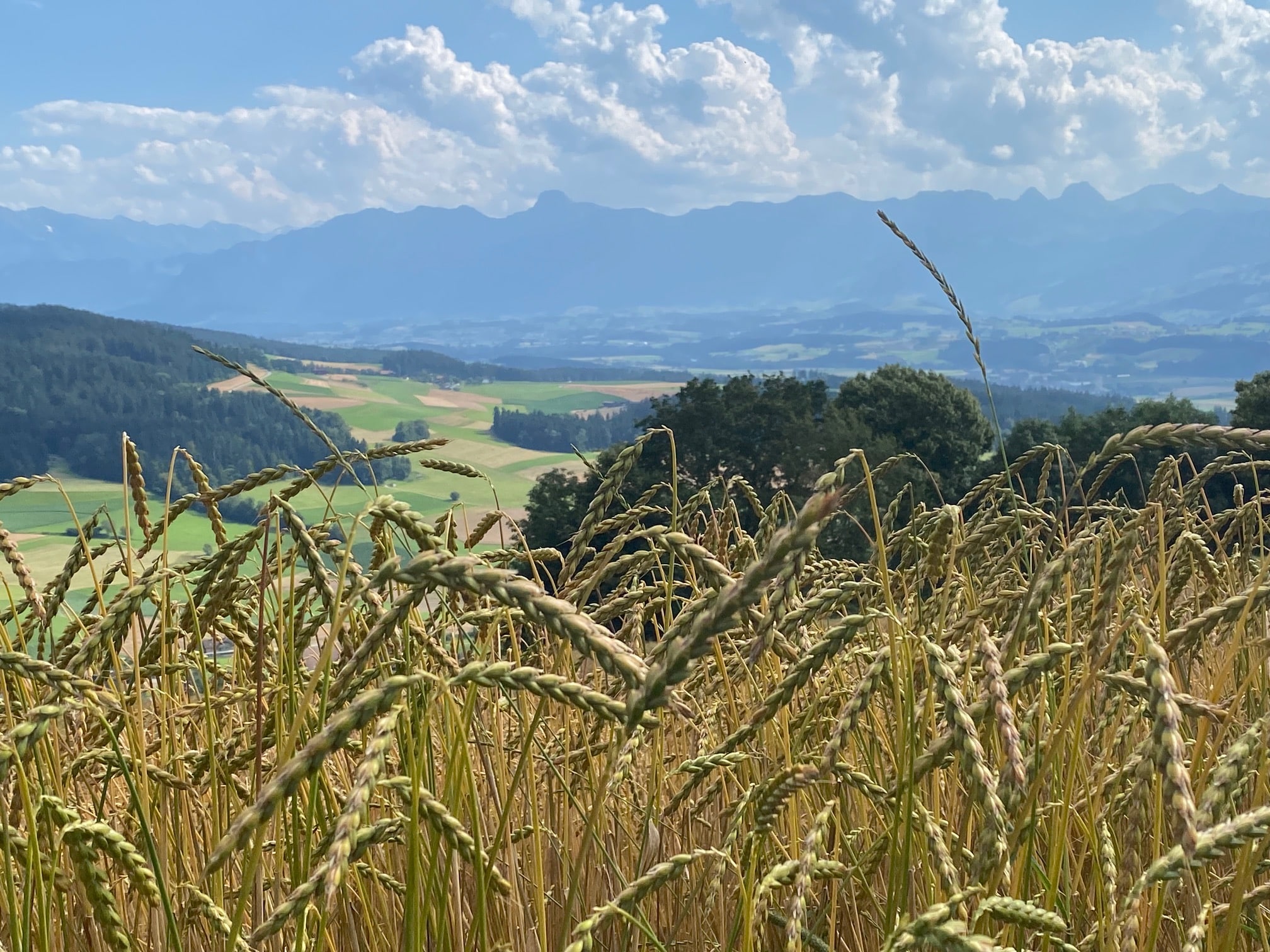 Schweizer Wandernacht – ein wunderbares Erlebnis für die Grauen Panther