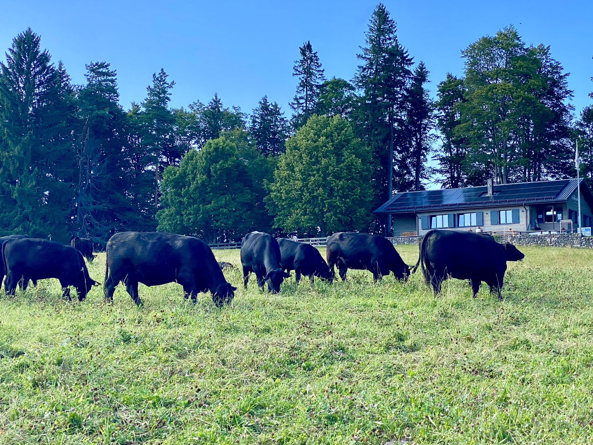 Abenteuer im Basler Jura