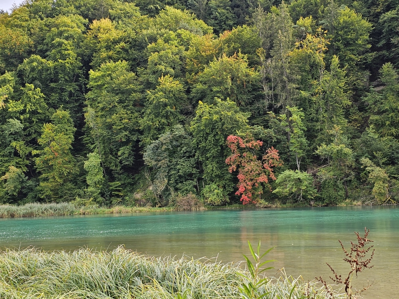 Bummel Wohlensee Eymatt