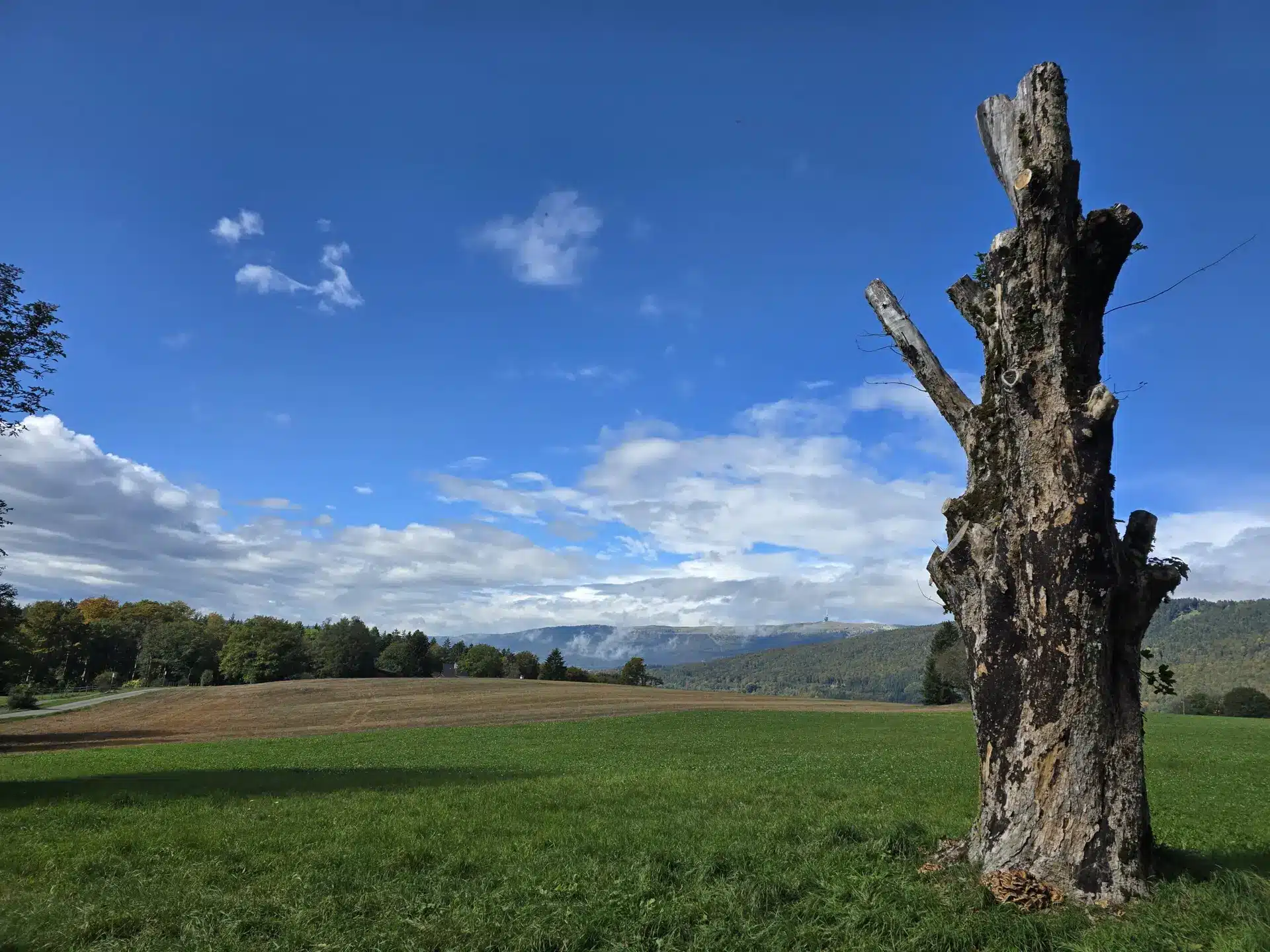 Mit Sylvia & Ruedi durch die Twannschlucht