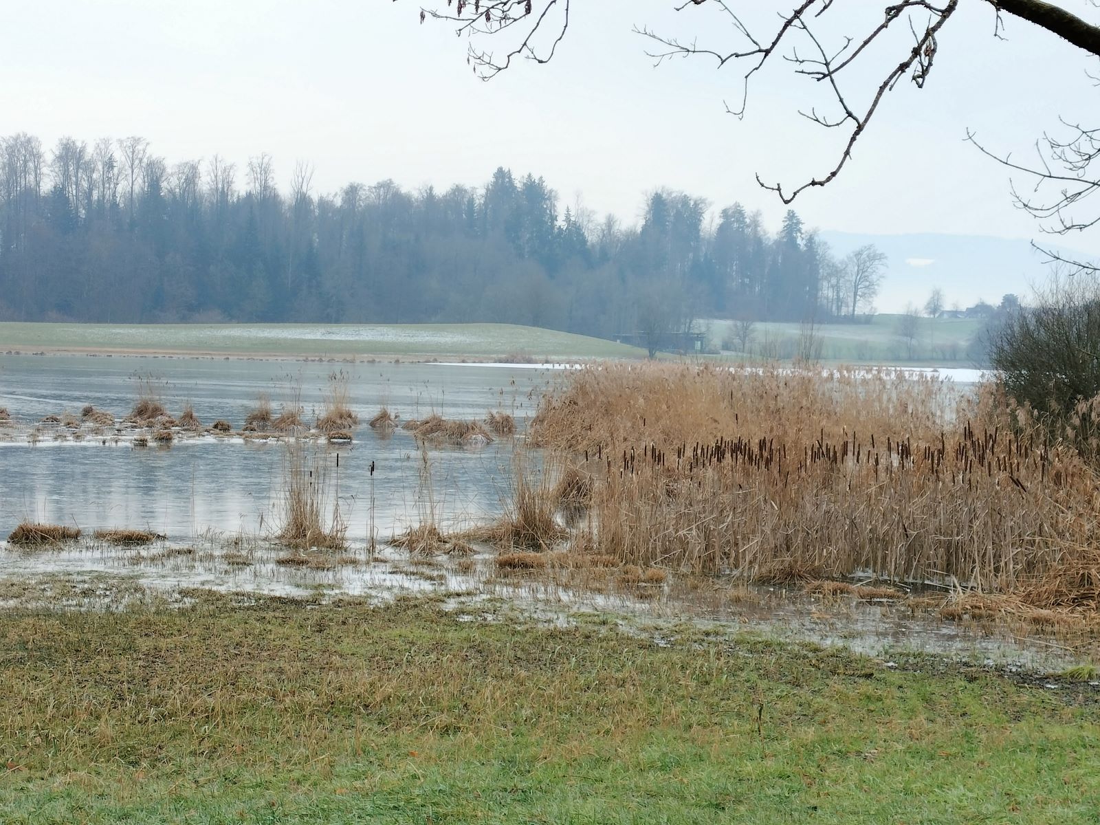 Höhenwanderung Zürichsee