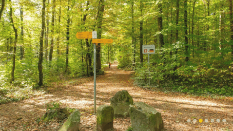 Wanderung zur Eisernen Hand **+