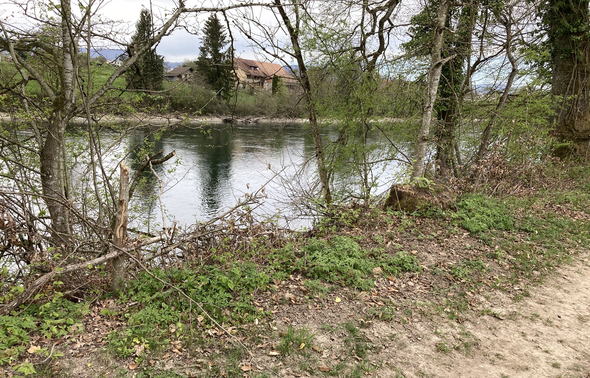 Wanderung der Aare entlang … *