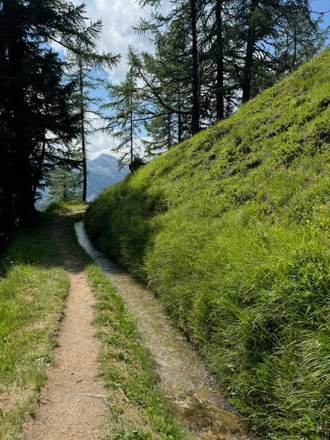 Bärgwasser – Stimmungsvolle Suonenwanderung in Rosswald **+