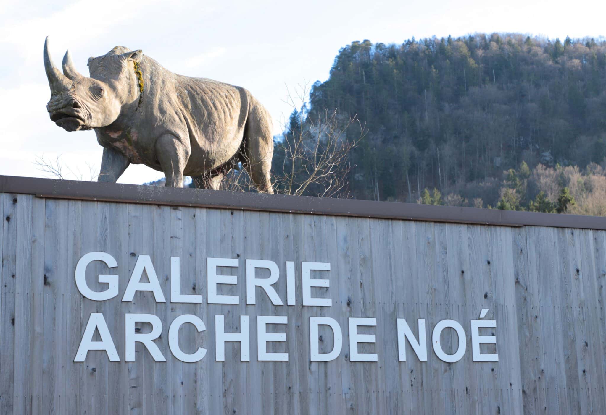 Carfahrt nach Vicques zum Museum der ausgestopften Tiere