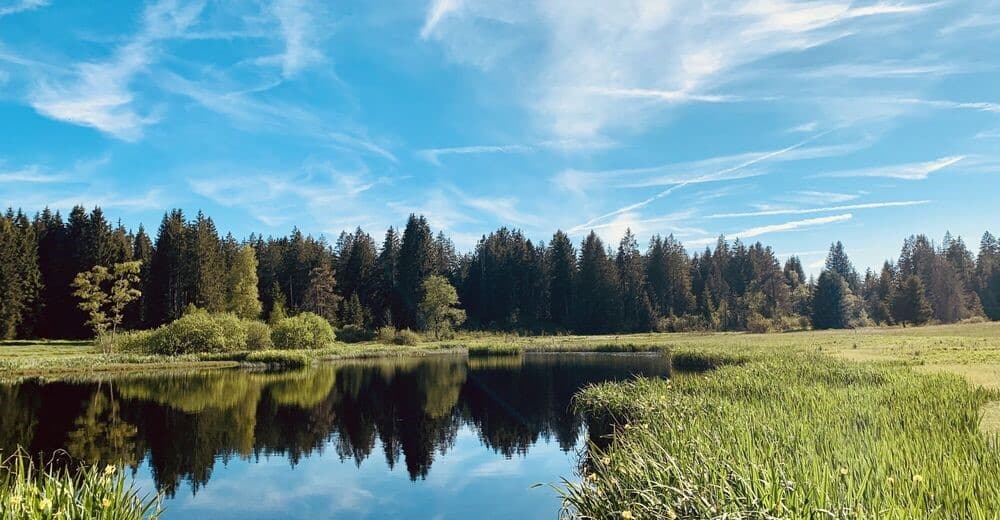 Sternwanderung Heimenschwand – Wachseldornmoos – Süderen (Bummel und *)
