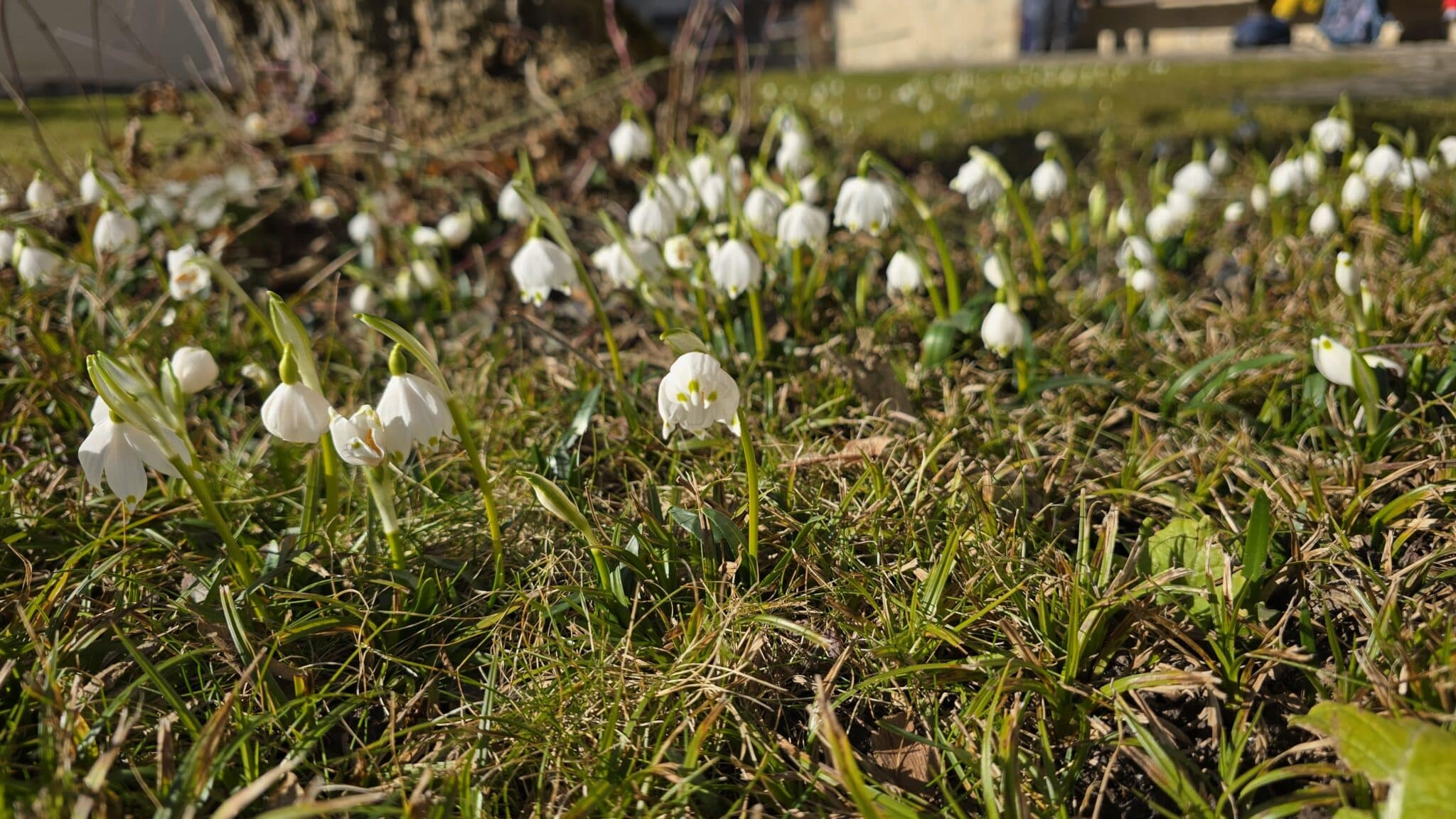 Wandereinstimmung von Blumenstein nach Amsoldingen