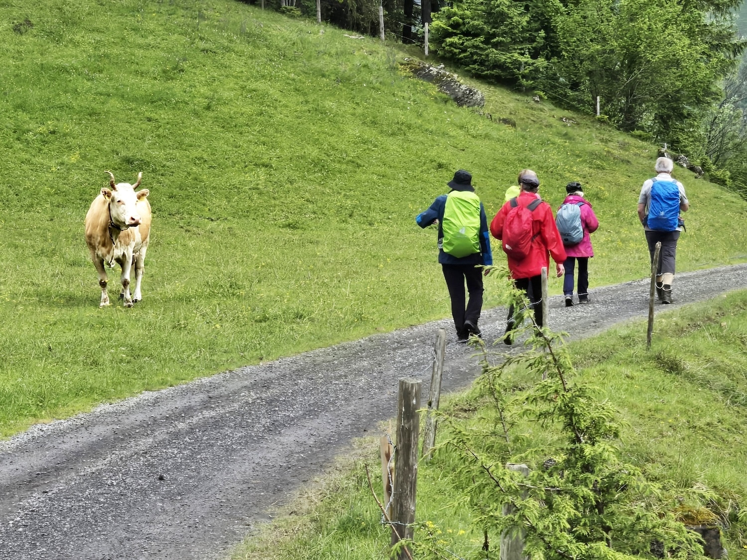 Von Kandersteg nach Kandergrund der Kander entlang