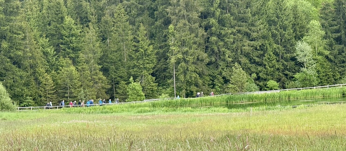 Wabus im  Wachseldornmoos