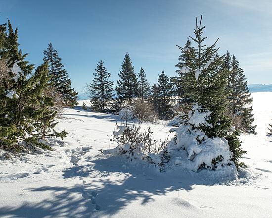 Grandiose Kulisse im Neuenburger Jura  ***
