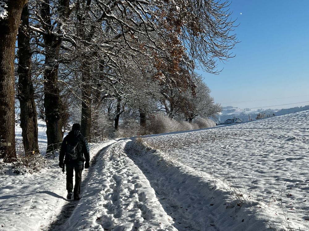 Winterwanderung rund um Fribourg *