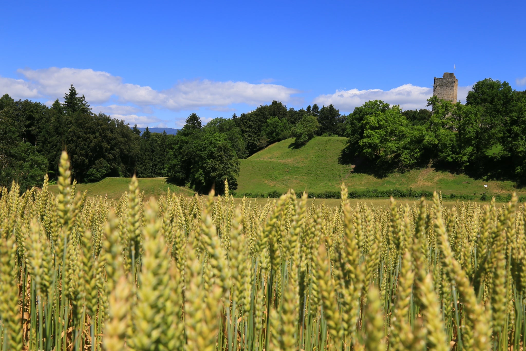 Yvonand – Vallon de Vaux – Yvonand **