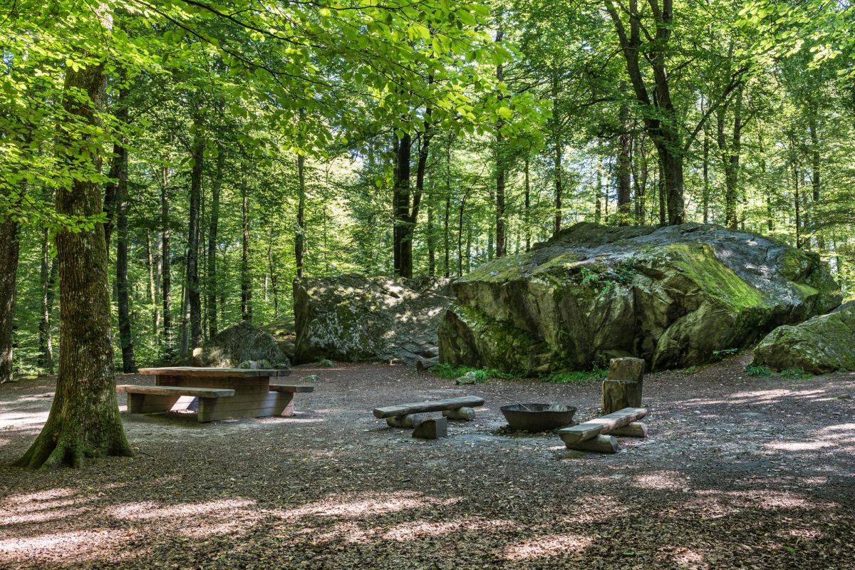 Le Landeron – Erlach – Tschugg – Ins **+