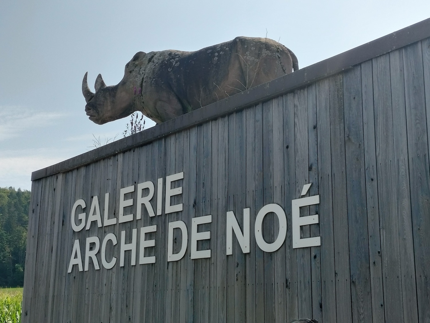 Besuch in der „Galerie Arche de Noé“ in Vicques (JU)